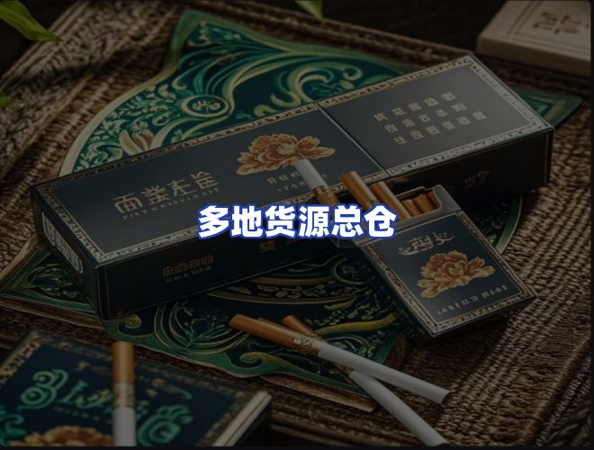 专业团队